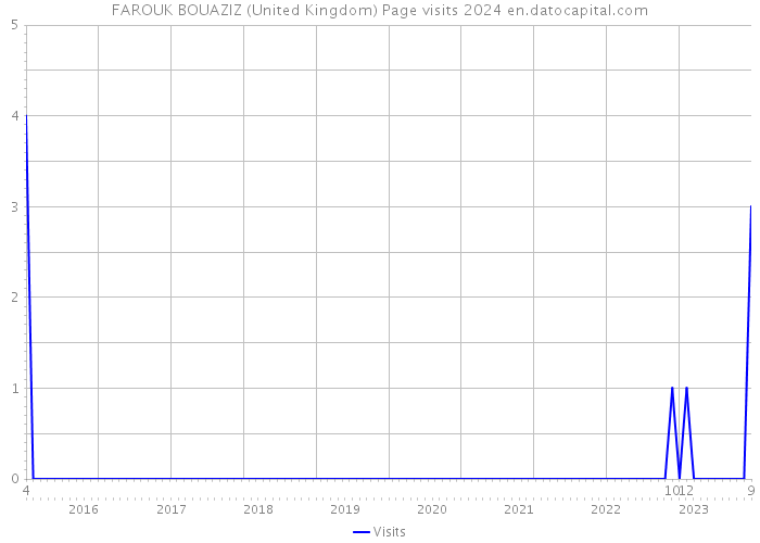 FAROUK BOUAZIZ (United Kingdom) Page visits 2024 