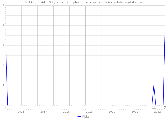 VITALIJS GALUZO (United Kingdom) Page visits 2024 