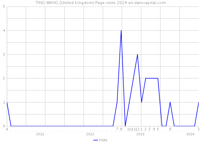 TING WANG (United Kingdom) Page visits 2024 