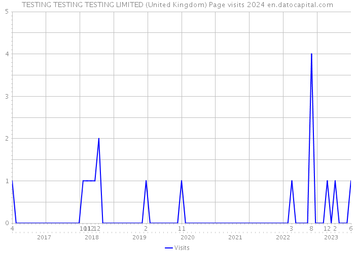 TESTING TESTING TESTING LIMITED (United Kingdom) Page visits 2024 