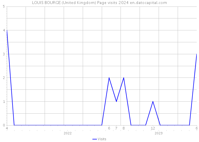 LOUIS BOURGE (United Kingdom) Page visits 2024 
