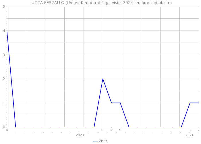 LUCCA BERGALLO (United Kingdom) Page visits 2024 