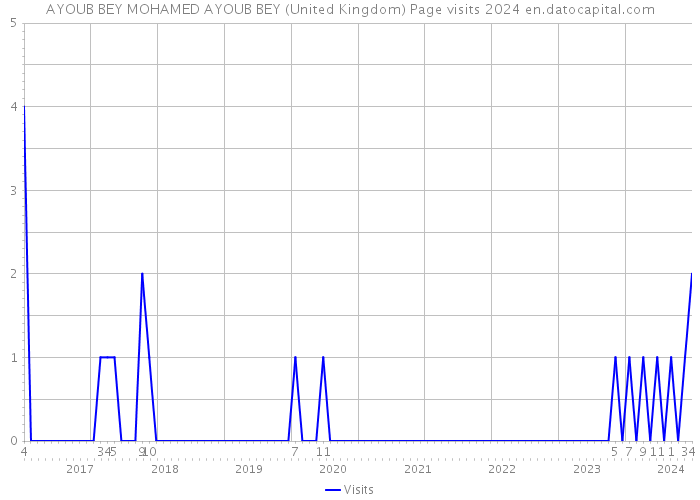 AYOUB BEY MOHAMED AYOUB BEY (United Kingdom) Page visits 2024 