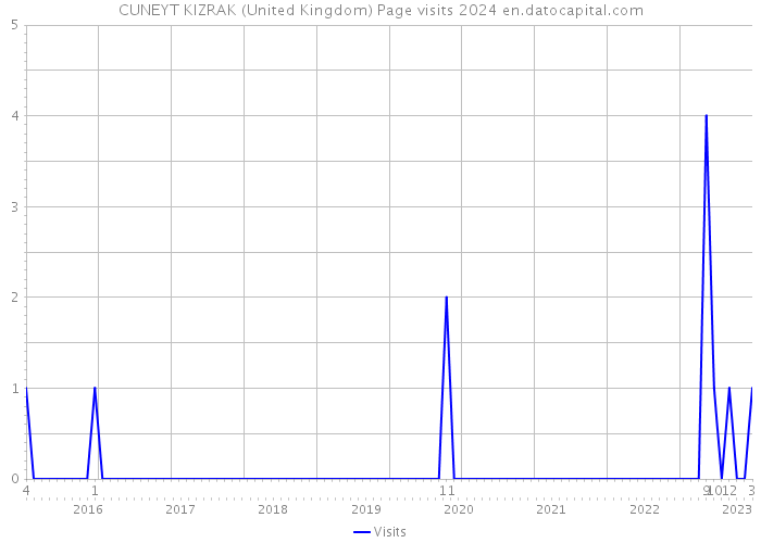 CUNEYT KIZRAK (United Kingdom) Page visits 2024 