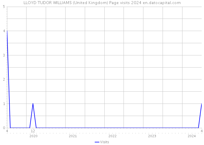 LLOYD TUDOR WILLIAMS (United Kingdom) Page visits 2024 