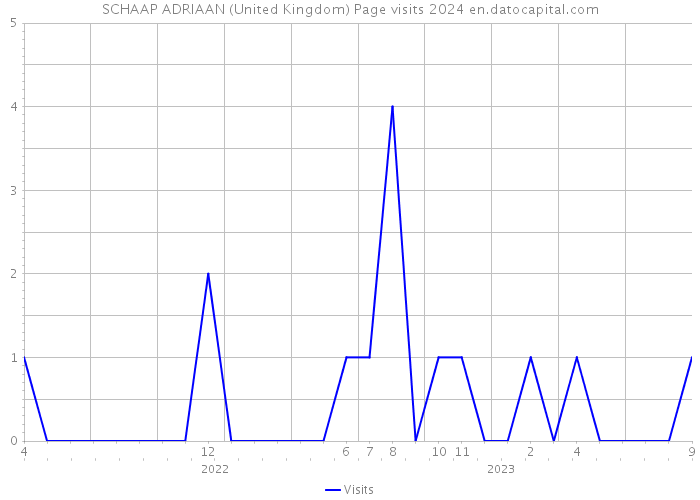 SCHAAP ADRIAAN (United Kingdom) Page visits 2024 