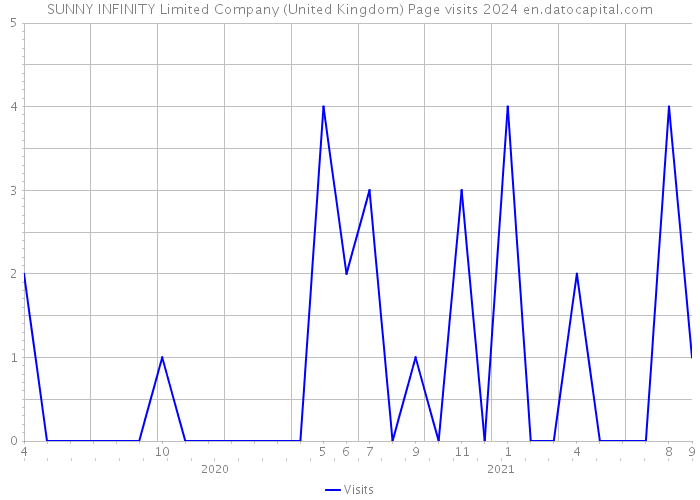 SUNNY INFINITY Limited Company (United Kingdom) Page visits 2024 