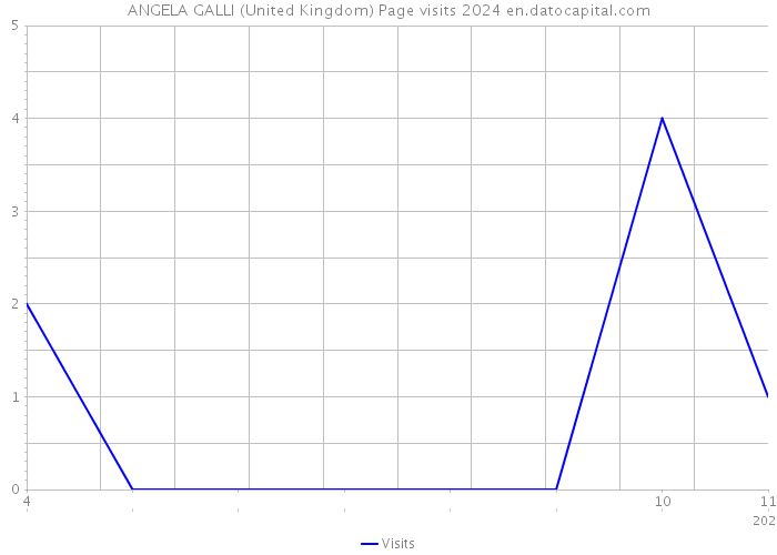 ANGELA GALLI (United Kingdom) Page visits 2024 