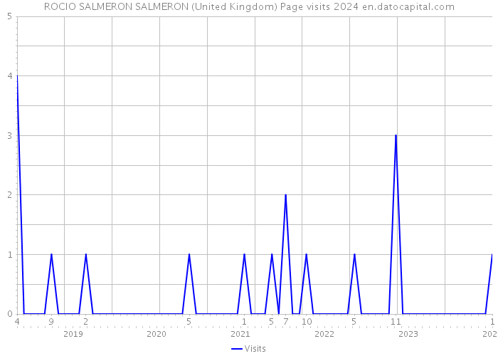 ROCIO SALMERON SALMERON (United Kingdom) Page visits 2024 