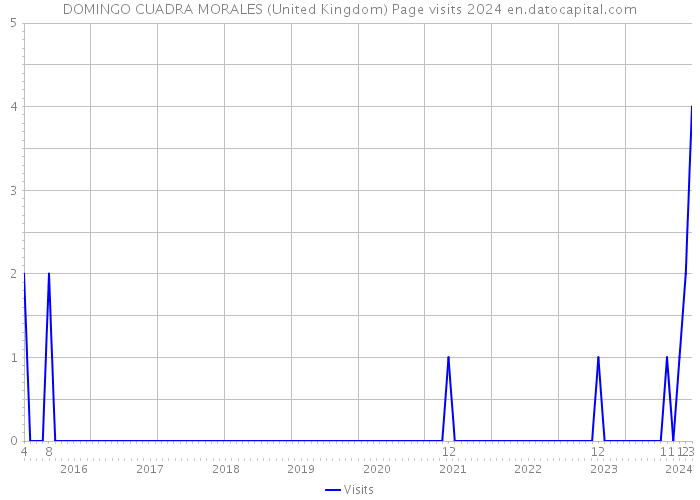 DOMINGO CUADRA MORALES (United Kingdom) Page visits 2024 