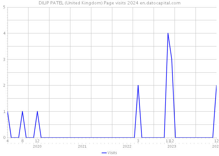 DILIP PATEL (United Kingdom) Page visits 2024 