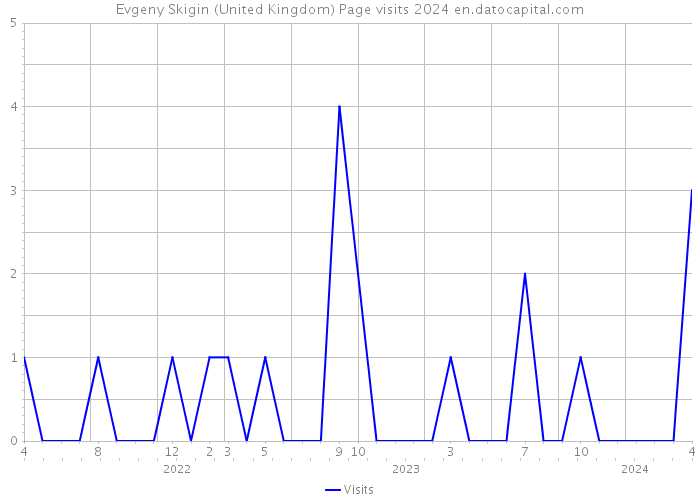 Evgeny Skigin (United Kingdom) Page visits 2024 