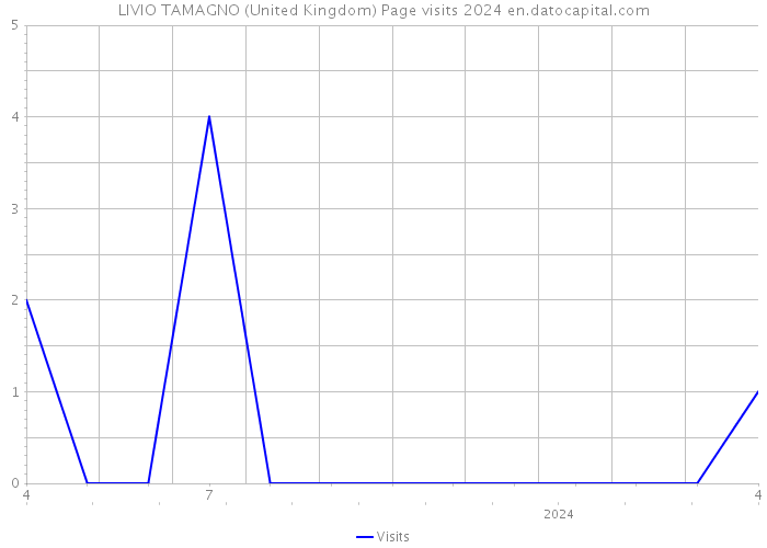 LIVIO TAMAGNO (United Kingdom) Page visits 2024 