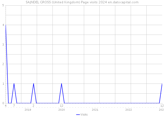 SAJNDEL GROSS (United Kingdom) Page visits 2024 
