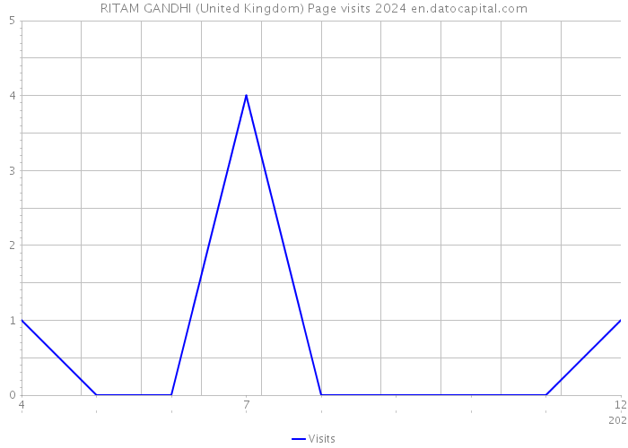 RITAM GANDHI (United Kingdom) Page visits 2024 