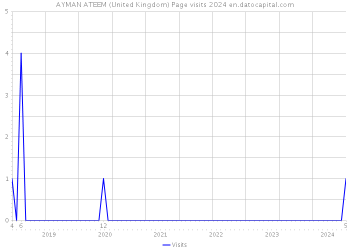 AYMAN ATEEM (United Kingdom) Page visits 2024 