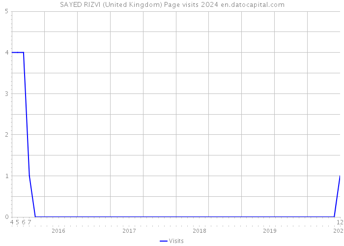 SAYED RIZVI (United Kingdom) Page visits 2024 