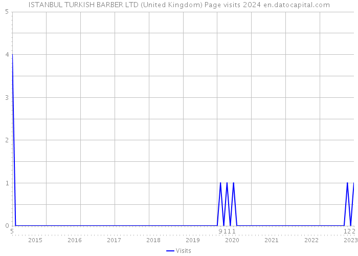 ISTANBUL TURKISH BARBER LTD (United Kingdom) Page visits 2024 