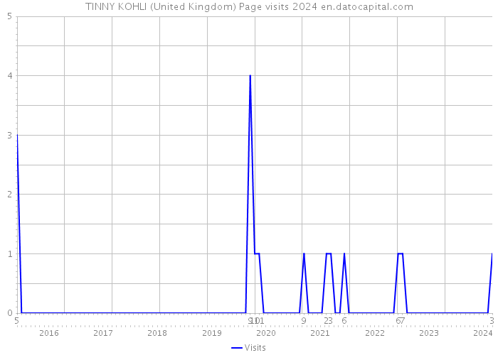 TINNY KOHLI (United Kingdom) Page visits 2024 