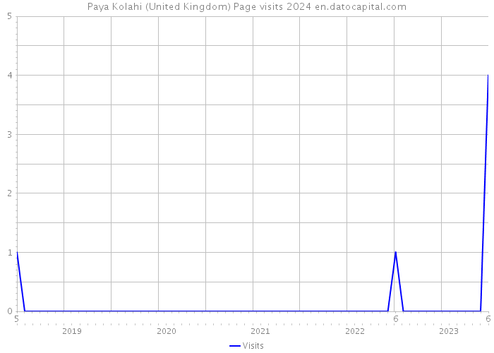 Paya Kolahi (United Kingdom) Page visits 2024 