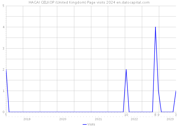HAGAI GELKOP (United Kingdom) Page visits 2024 