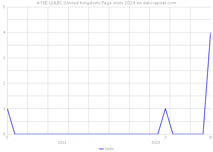AYSE GULEC (United Kingdom) Page visits 2024 