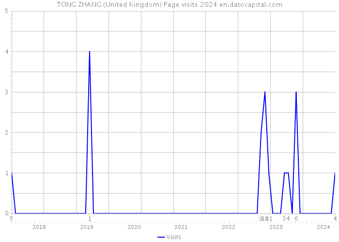 TONG ZHANG (United Kingdom) Page visits 2024 
