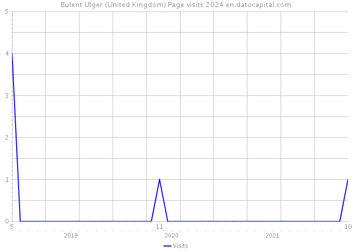 Bulent Ulger (United Kingdom) Page visits 2024 