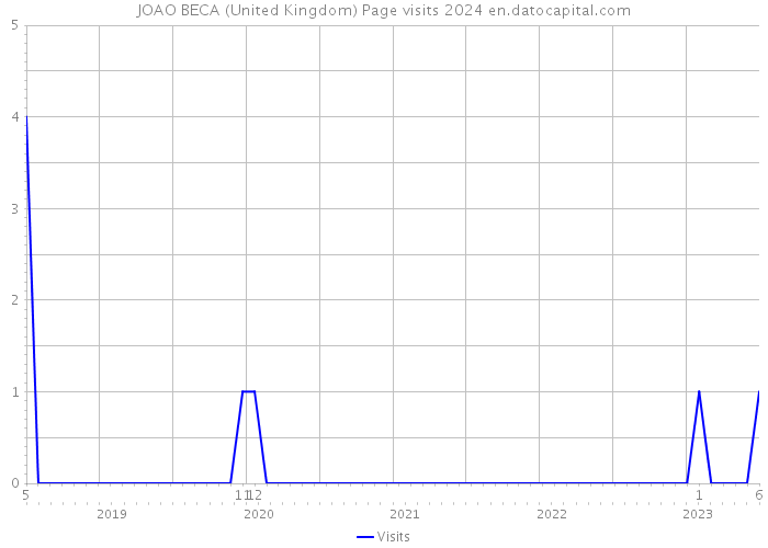 JOAO BECA (United Kingdom) Page visits 2024 