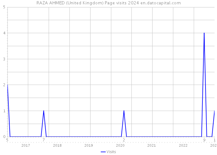 RAZA AHMED (United Kingdom) Page visits 2024 
