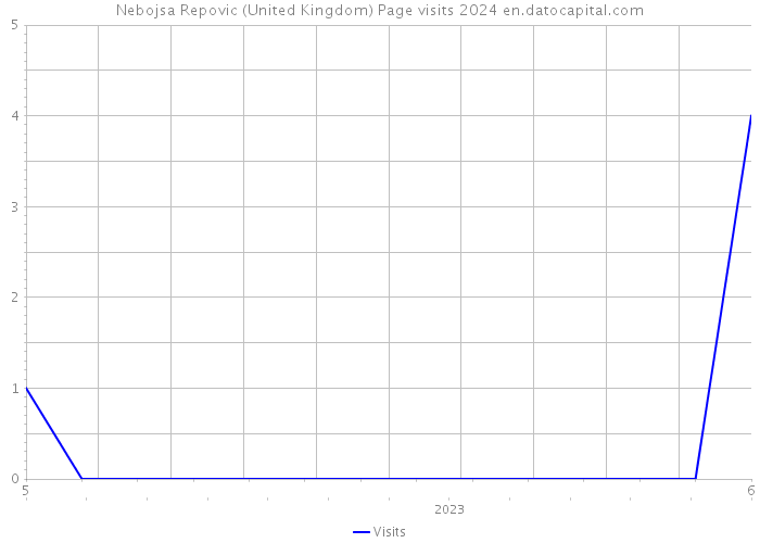 Nebojsa Repovic (United Kingdom) Page visits 2024 