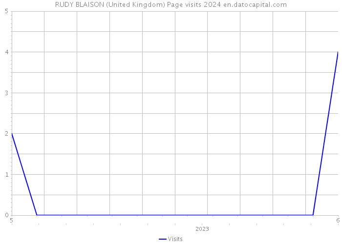 RUDY BLAISON (United Kingdom) Page visits 2024 