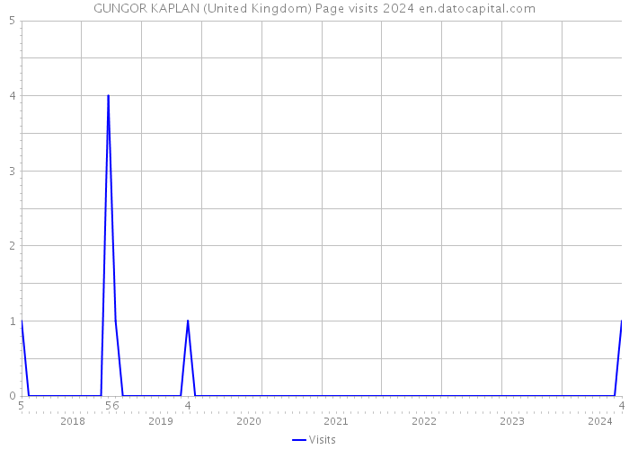 GUNGOR KAPLAN (United Kingdom) Page visits 2024 