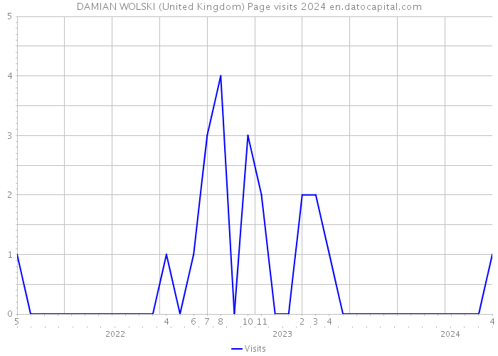 DAMIAN WOLSKI (United Kingdom) Page visits 2024 