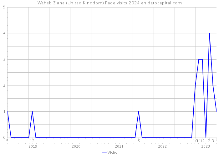 Waheb Ziane (United Kingdom) Page visits 2024 