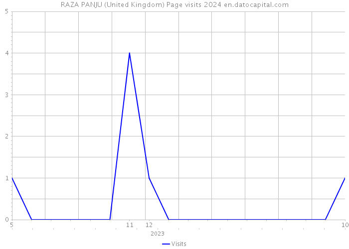 RAZA PANJU (United Kingdom) Page visits 2024 