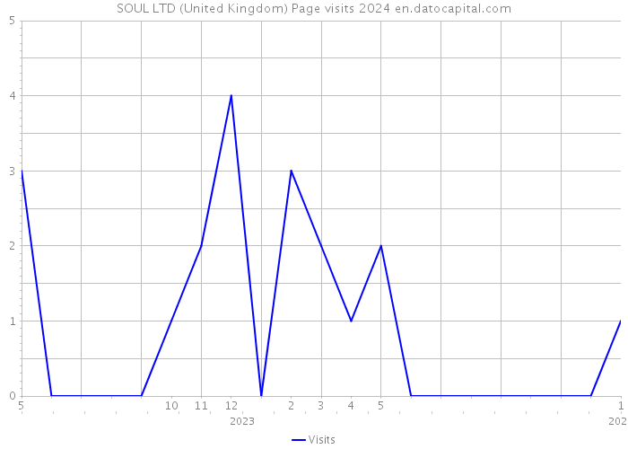 SOUL LTD (United Kingdom) Page visits 2024 