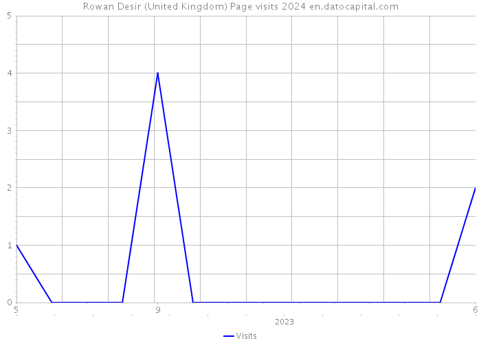 Rowan Desir (United Kingdom) Page visits 2024 