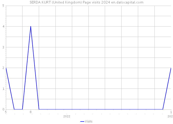 SERDA KURT (United Kingdom) Page visits 2024 