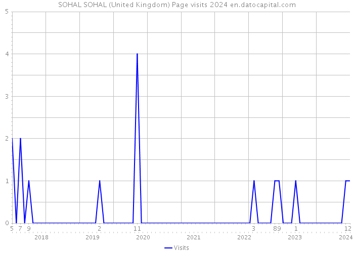 SOHAL SOHAL (United Kingdom) Page visits 2024 