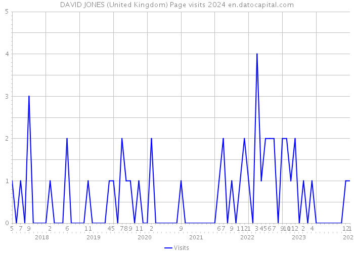 DAVID JONES (United Kingdom) Page visits 2024 