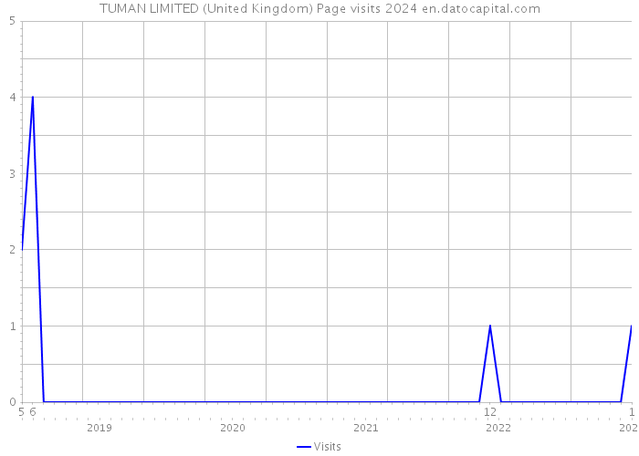 TUMAN LIMITED (United Kingdom) Page visits 2024 