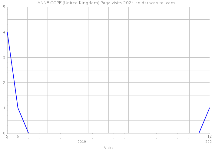 ANNE COPE (United Kingdom) Page visits 2024 