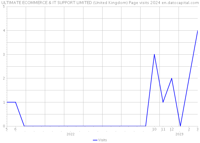 ULTIMATE ECOMMERCE & IT SUPPORT LIMITED (United Kingdom) Page visits 2024 