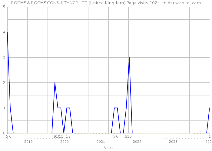 ROCHE & ROCHE CONSULTANCY LTD (United Kingdom) Page visits 2024 