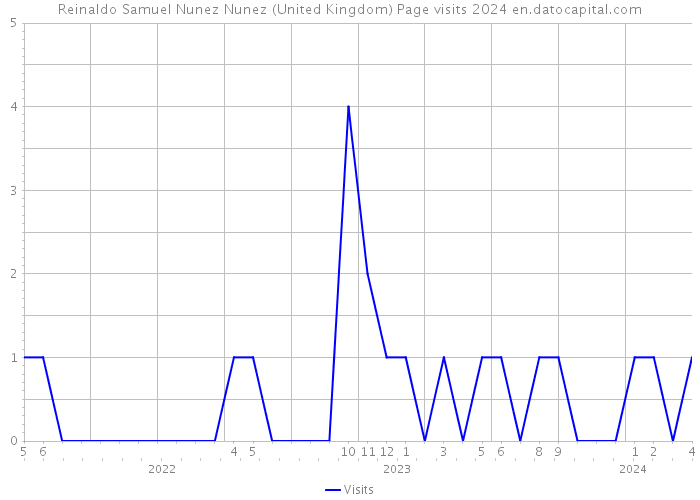 Reinaldo Samuel Nunez Nunez (United Kingdom) Page visits 2024 