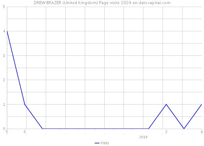 DREW BRAZER (United Kingdom) Page visits 2024 