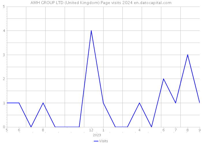 AMH GROUP LTD (United Kingdom) Page visits 2024 