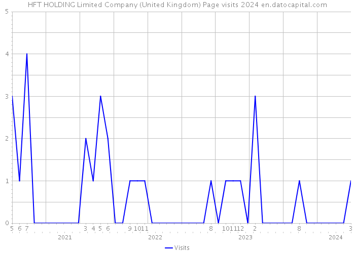 HFT HOLDING Limited Company (United Kingdom) Page visits 2024 