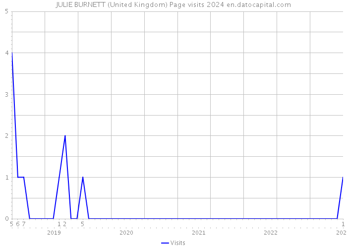 JULIE BURNETT (United Kingdom) Page visits 2024 